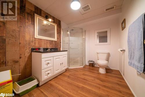 18776 Highway 41, Cloyne, ON - Indoor Photo Showing Bathroom