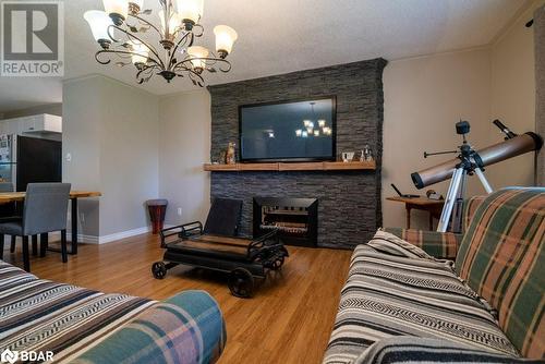 18776 Highway 41, Cloyne, ON - Indoor With Fireplace