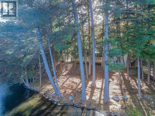 6 Darling Dr, Muskoka Lakes, ON - Outdoor With Body Of Water