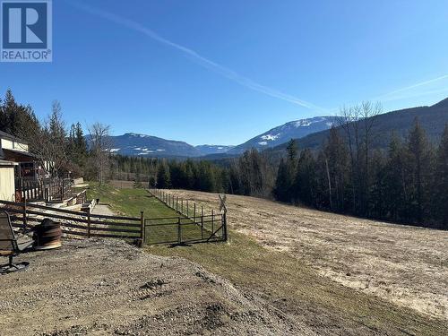 53 Cawley Road, Enderby, BC - Outdoor With View