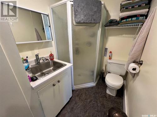38 Wilson Street, Birch Hills, SK - Indoor Photo Showing Bathroom