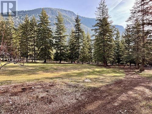 866 Mobley Road, Tappen, BC - Outdoor With View