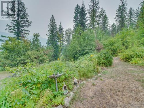 2373 Mabel Lake Road, Enderby, BC - Outdoor