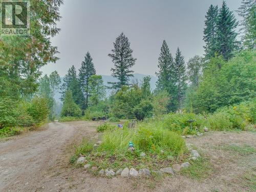 2373 Mabel Lake Road, Enderby, BC - Outdoor With View