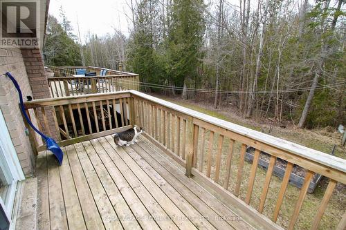 6736 Hwy 6, Northern Bruce Peninsula, ON - Outdoor With Deck Patio Veranda With Exterior