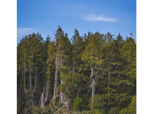 Lot A Vargas Island, Tofino, BC 