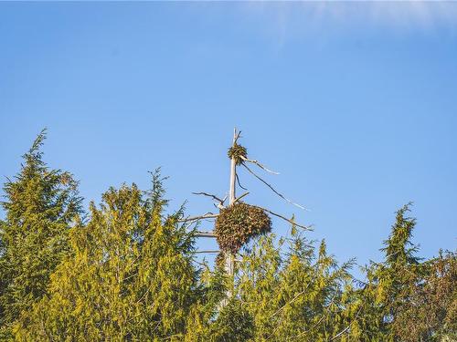 Lot A Vargas Island, Tofino, BC 