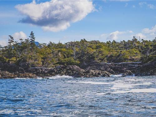 Lot A Vargas Island, Tofino, BC 