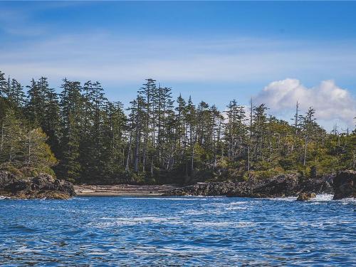 Lot A Vargas Island, Tofino, BC 