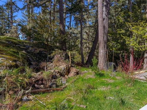 1230 Starlight Grove, Sooke, BC - Outdoor With View