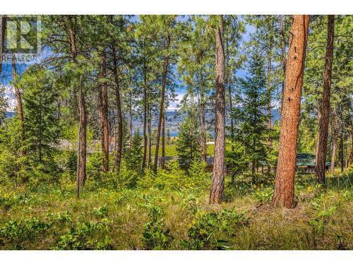 4729 Lakeshore Road, Kelowna, BC - Outdoor With View