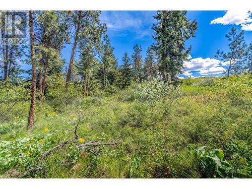 4729 Lakeshore Road, Kelowna, BC - Outdoor With View