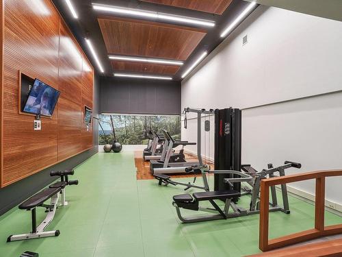 Exercise room - 302-50 Rue Berlioz, Montréal (Verdun/Île-Des-Soeurs), QC - Indoor Photo Showing Gym Room