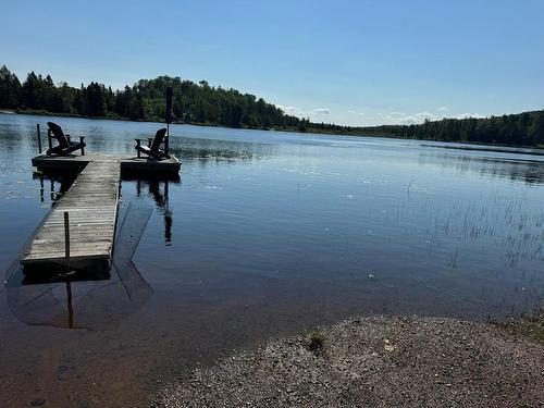 Waterfront - 251 Rue Du Lac-Marier, Sainte-Marguerite-Du-Lac-Masson, QC - Outdoor With Body Of Water With View