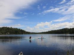 Bord de l'eau - 