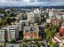 107-827 Fairfield Rd, Victoria, BC  - Outdoor With View 