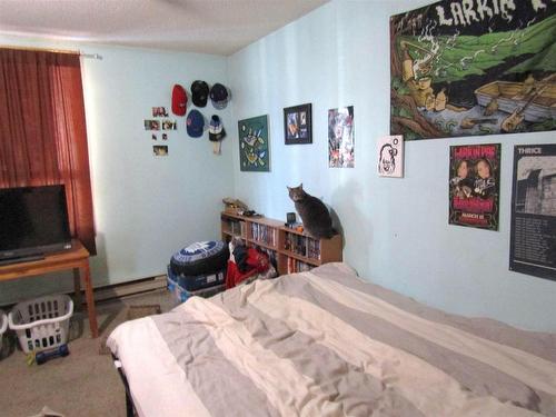 47 Machar Avenue, Thunder Bay, ON - Indoor Photo Showing Bedroom