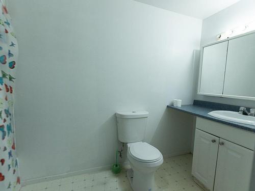 Bathroom - 1115  - 1121 5E Avenue, Montréal (Verdun/Île-Des-Soeurs), QC - Indoor Photo Showing Bathroom