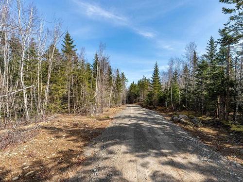 Lot #5 Pure Nature Drive, Bell Neck, NS 