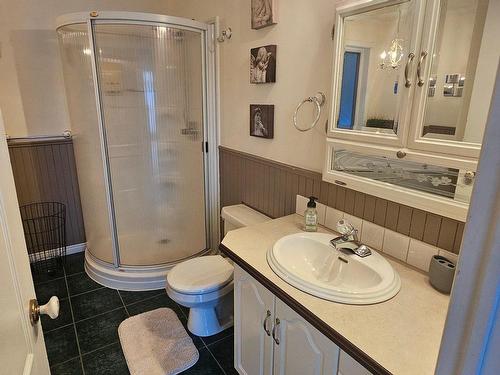 Bathroom - 5570 Av. Du Tour-Du-Lac, Shawinigan, QC - Indoor Photo Showing Bathroom