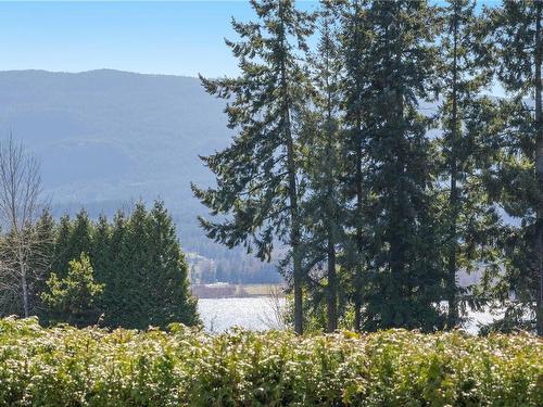 6141 Dennie Lane, Nanaimo, BC - Outdoor With View