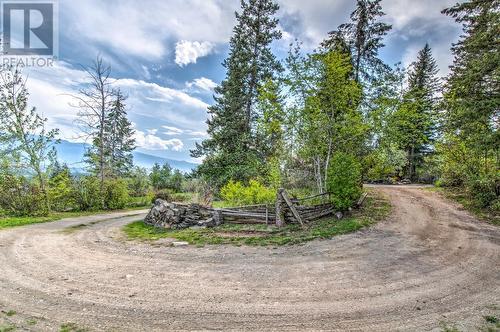98 Twin Lakes Road, Enderby, BC - Outdoor With View