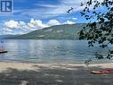 4746 Sunnybrae Canoe Point Road, Tappen, BC  - Outdoor With Body Of Water With View 