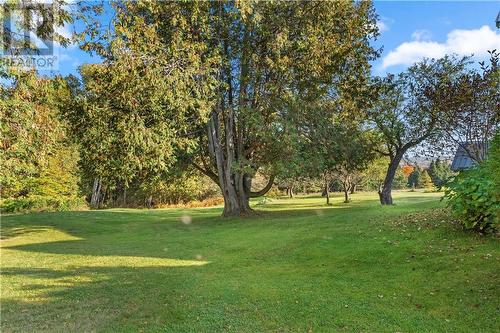 535 River Bend Drive, Palmer Rapids, ON - Outdoor With View