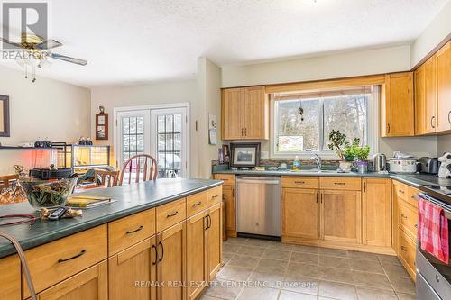 344 Pineview Gdns, Shelburne, ON - Indoor Photo Showing Kitchen With Double Sink