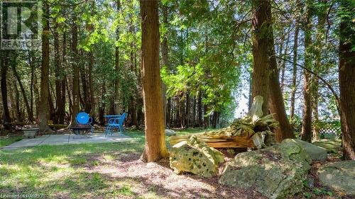 So peaceful on this double-wide property - enjoy a campfire tucked in the trees close to the water! - 7 Purgatory Road, Northern Bruce Peninsula, ON - Outdoor