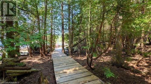 Boardwalk to the water - 7 Purgatory Road, Northern Bruce Peninsula, ON - Outdoor