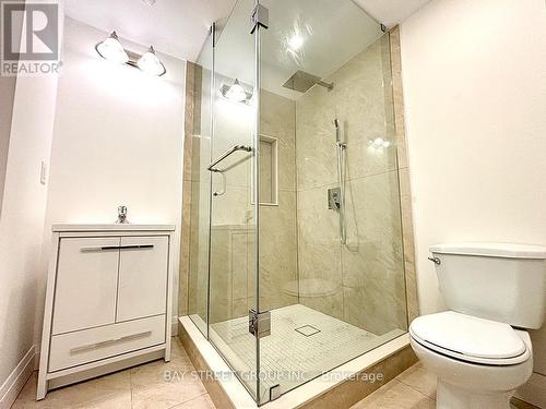 100 Wellspring Ave Bsmt, Richmond Hill, ON - Indoor Photo Showing Bathroom