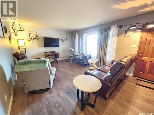 810 Healy Avenue, Radville, SK - Indoor Photo Showing Living Room