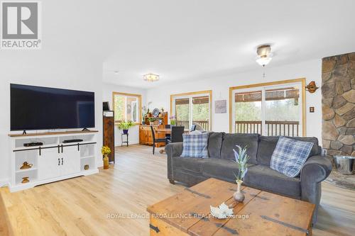21259 Highway 62, Tudor & Cashel, ON - Indoor Photo Showing Living Room