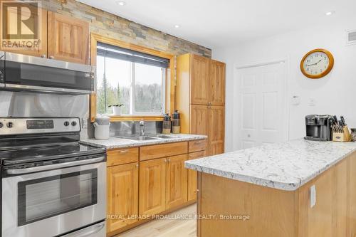 21259 Highway 62, Tudor & Cashel, ON - Indoor Photo Showing Kitchen With Double Sink
