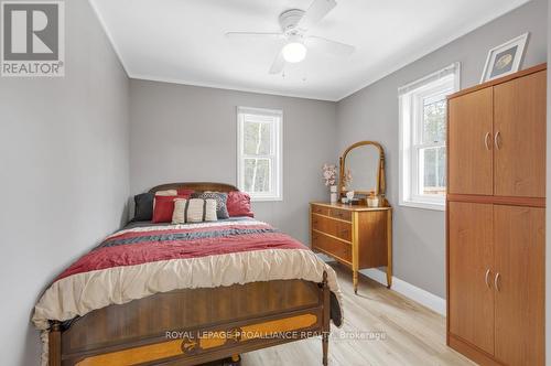 21259 Highway 62, Tudor & Cashel, ON - Indoor Photo Showing Bedroom