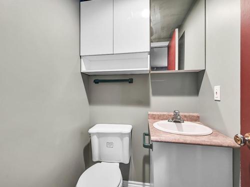 Powder room - 1192 Rue Nielsen, Longueuil (Saint-Hubert), QC - Indoor Photo Showing Other Room