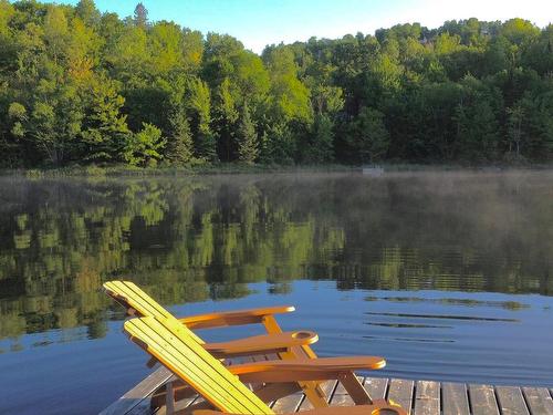 Waterfront - 86 Ch. Louise, Lac-Supérieur, QC - Outdoor With Body Of Water With View