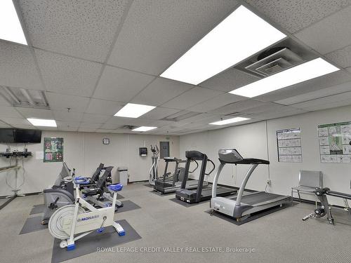 1512-20 Cherrytree Dr, Brampton, ON - Indoor Photo Showing Gym Room