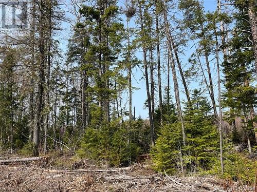 Lot 02 Beaverbrook Road, Miramichi, NB 