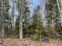 Lot 02 Beaverbrook Road, Miramichi, NB 