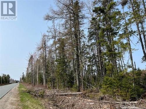 Lot 04 Beaverbrook Road, Miramichi, NB 