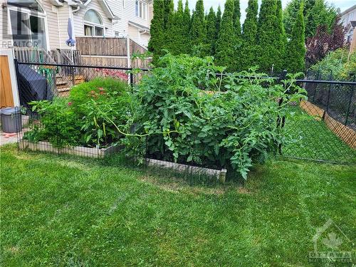 NOT AN ACREAGE BUT PRODUCES TOMATOES & PEPPERS LIKE MAD. - 510 Woodchase Street, Ottawa, ON - Outdoor