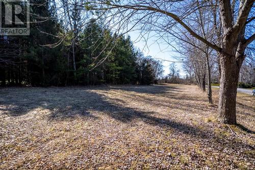1790 Westview Point Rd, Smith-Ennismore-Lakefield, ON - Outdoor With View