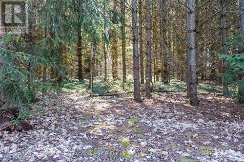 1790 Westview Point Rd, Smith-Ennismore-Lakefield, ON - Outdoor With View