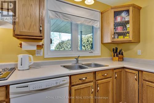 1790 Westview Point Road, Smith-Ennismore-Lakefield, ON - Indoor Photo Showing Kitchen With Double Sink