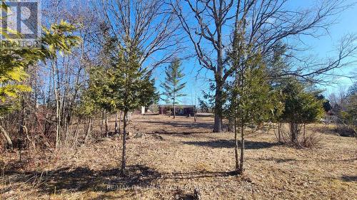 23 Fire Route 10, Havelock-Belmont-Methuen, ON - Outdoor With View