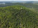 Aerial photo - 1022 Ch. Des Pins, Sainte-Agathe-Des-Monts, QC  - Outdoor With View 