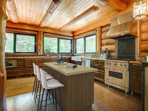 Kitchen - 1022 Ch. Des Pins, Sainte-Agathe-Des-Monts, QC - Indoor