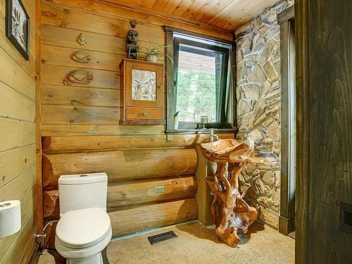 Powder room - 1022 Ch. Des Pins, Sainte-Agathe-Des-Monts, QC - Indoor Photo Showing Bathroom